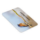 Eastern Bluebird マグネット (右側)