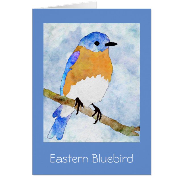 Eastern Bluebird – 男性 – 水色グリーティングカード (正面)