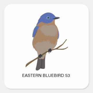 Eastern Bluebird 53シール スクエアシール