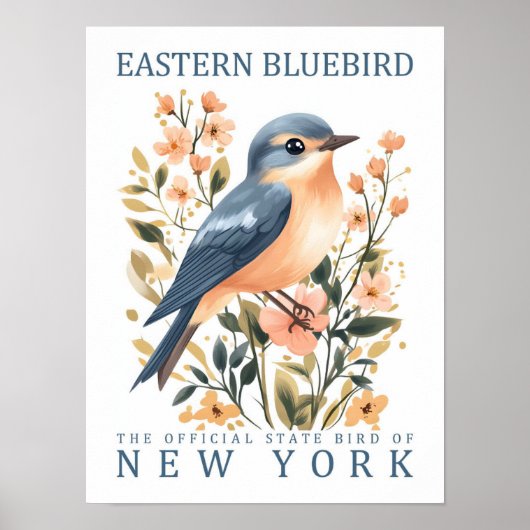 Eastern Bluebird Bird of New York USA ポスター (正面)
