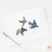 Eastern Bluebird by Audubon 長方形シール (封筒)