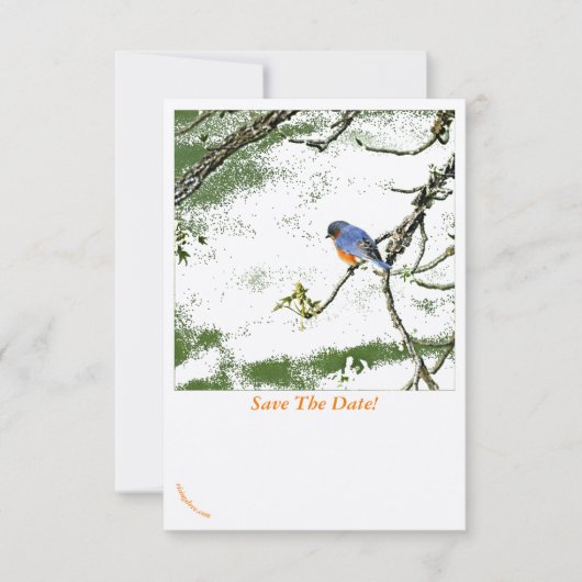 Eastern Bluebird/Champagne Glasses Save the Date t (正面)