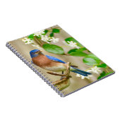 Eastern Bluebird Notebookスパイラルジャーナルギフト ノートブック (右側)