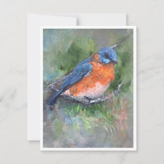 Eastern Bluebird Painting Note Card ノートカード