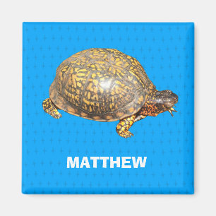 Eastern Box Turtleの写真パーソナライズされた マグネット
