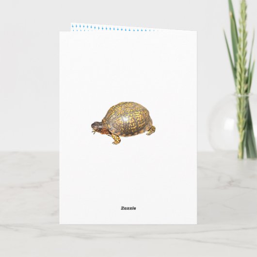 Eastern Box Turtleカスタマイズおもしろい可能な誕生日 カード (裏面)