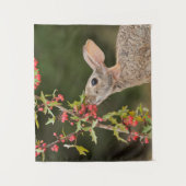 Eastern Cottontail | South Texas タペストリー (正面)