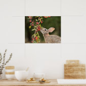 Eastern Cottontail | South Texas ポスター (キッチン)