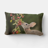 Eastern Cottontail | South Texas ランバークッション (裏面)