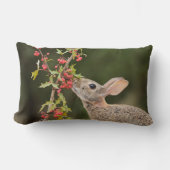 Eastern Cottontail | South Texas ランバークッション (正面)