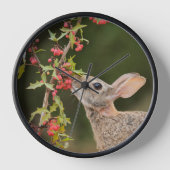 Eastern Cottontail | South Texas 壁時計 (正面)