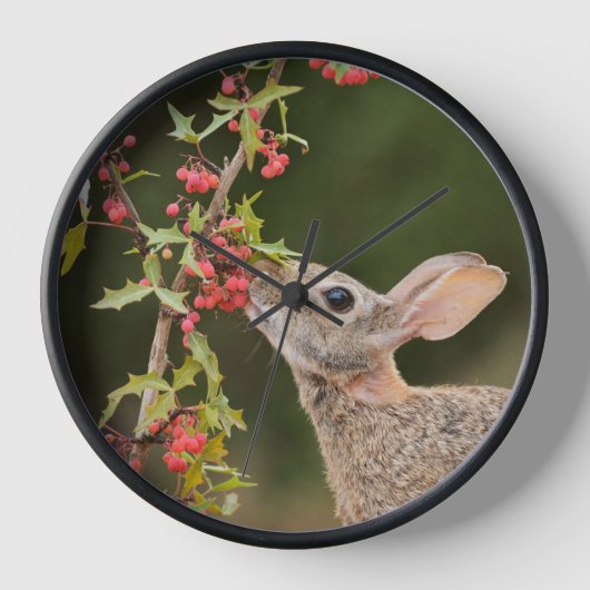 Eastern Cottontail | South Texas 壁時計 (正面)