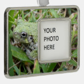 Eastern Grey Treefrog Nature Photography シルバープレートフレームオーナメント (右)