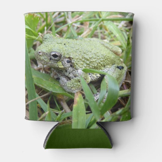 Eastern Grey Treefrog Nature Photography 缶クーラー (正面)