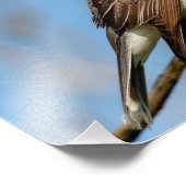 Eastern Kingbird on a Branch フォトプリント (角)