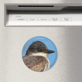 Eastern Kingbird on a Branch マグネット (インサイチュ (食洗機))