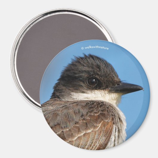 Eastern Kingbird on a Branch マグネット (正面/裏面)