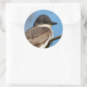 Eastern Kingbird on a Branch ラウンドシール (バッグ)