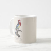 Eastern rosella or Platycercus eximius parakeet コーヒーマグカップ (正面左)