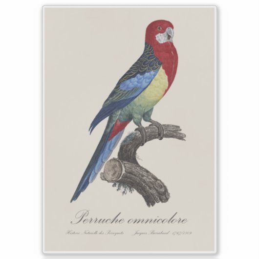 Eastern rosella or Platycercus eximius parakeet シール (正面)