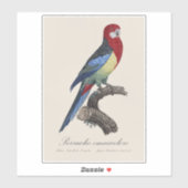 Eastern rosella or Platycercus eximius parakeet シール (シート)