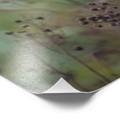 Eastern Rosella parrot - 12x16インチ写真プリント フォトプリント (角)