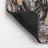 Eastern Screech Ow Roosting in Tree マウスパッド (コーナー)