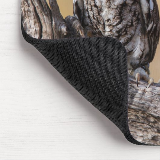 Eastern Screech Ow Roosting in Tree マウスパッド (コーナー)