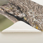 Eastern Screech Owl シェルパブランケット (3/4)