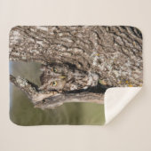 Eastern Screech Owl シェルパブランケット (正面(横))