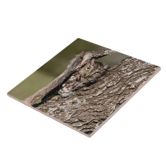 Eastern Screech Owl タイル (側面)