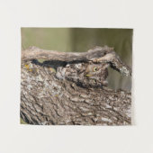 Eastern Screech Owl タペストリー (正面(横))