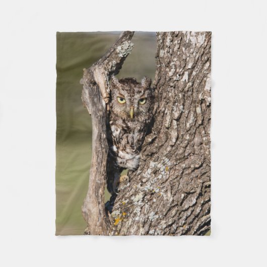 Eastern Screech Owl フリースブランケット (正面)