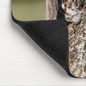 Eastern Screech Owl マウスパッド (コーナー)