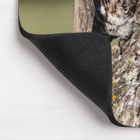 Eastern Screech Owl マウスパッド (コーナー)