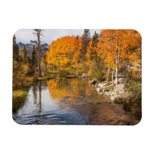 Eastern Sierra、Bishop Creek、California Outlet マグネット (横)