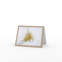 Eastern Sierra Snapshotsノートカード