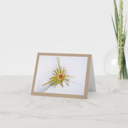 Eastern Sierra Snapshotsノートカード シーズンカード (正面)