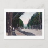 Eastern View on Main StreetLewiston, ID ポストカード (正面)