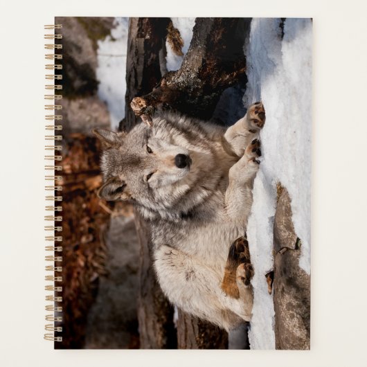 Easttern Gray Wolf プランナー手帳 (正面)