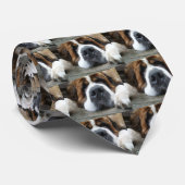 eBay 2010 172 ネクタイ (ロール)