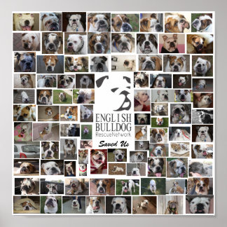 EBRNレスキュー・ポスター ポスター