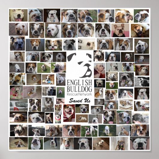 EBRNレスキュー・ポスター ポスター (正面)