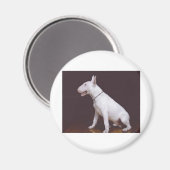 EBT マグネット (正面/裏面)