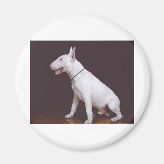 EBT マグネット (正面)