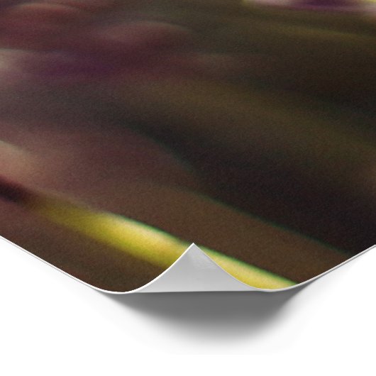 Ecclesiastes詩のポスター ポスター (角)