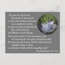 Ecclesiastes 11:5-6聖書の聖句の記憶 ポストカード