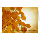 Ecclesiastes 3シーズン慰め (正面横)