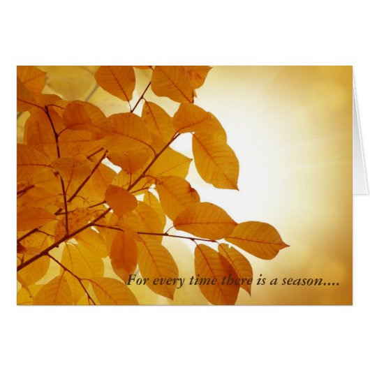 Ecclesiastes 3シーズン慰め (正面横)