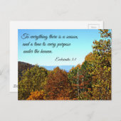 Ecclesiastes 3:1すべてには季節がある… ポストカード (正面/裏面)